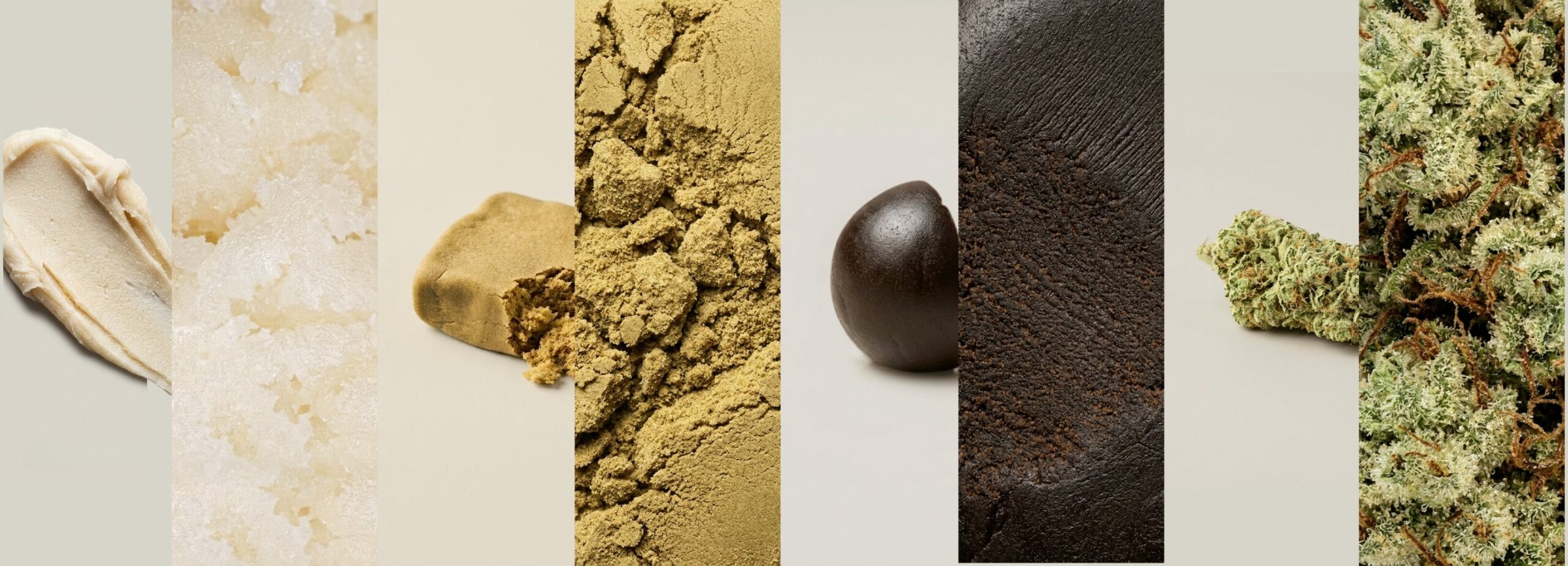 Matières Atelier Pollen — fleur, résine, pollen, extraction