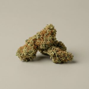 Gelato