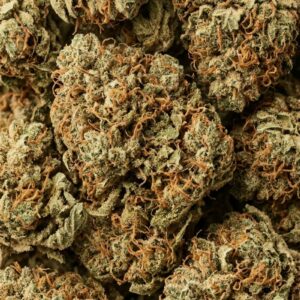 Gelato