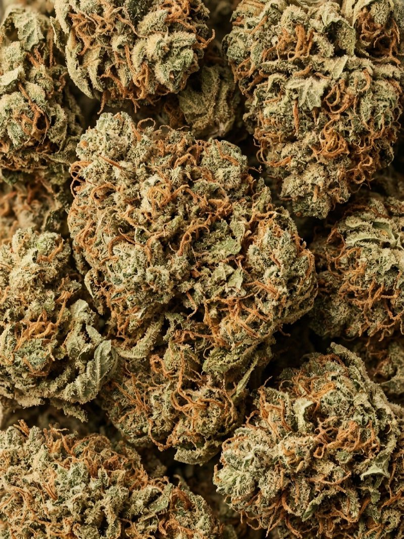 Gelato