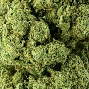 OG Kush