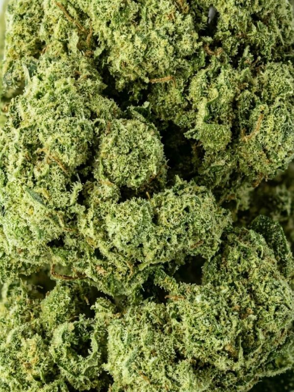 OG Kush — Macro
